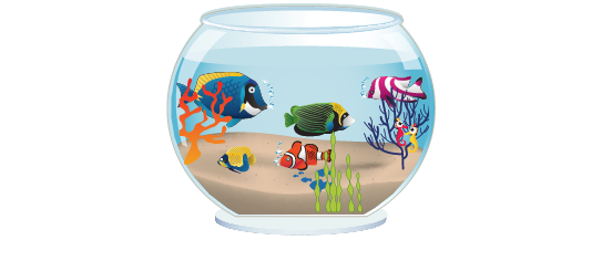 Soubassements > Soubassement aquarium > Tropical Fish