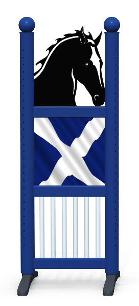 Wing > Combi Boxe > Scottish Flag