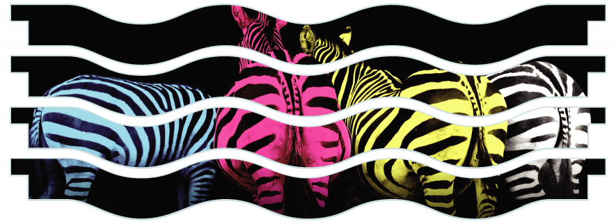 Palanques > Palanque vagues x 4 > Colourful Zebras
