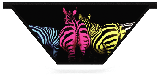 Soubassements > Soubassement V > Colourful Zebras