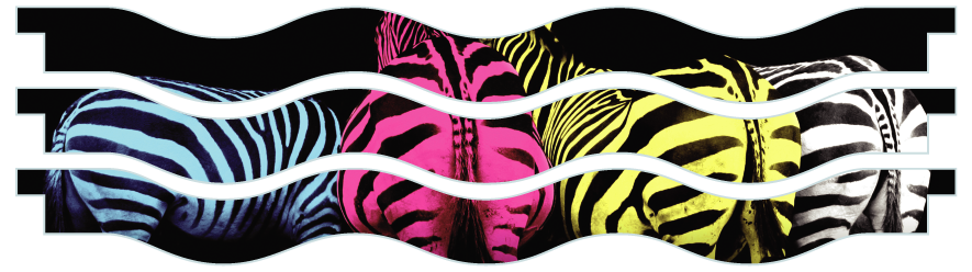 Palanques > Palanques vagues x 3 > Colourful Zebras
