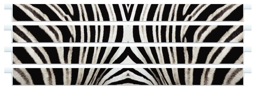 Palanques > Palanques droites x 4 > Zebra Skin