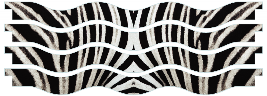 Palanques > Palanque vagues x 4 > Zebra Skin